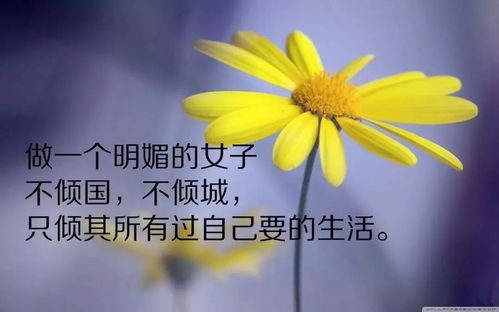 句子,能量,愛情網(wǎng),最新