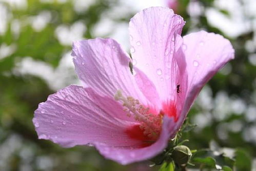 關(guān)于生產(chǎn)正能量的句子,好品質(zhì)正能量句子,適合生產(chǎn)的正能量的句子