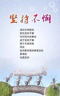 押韻,句子,能量,溫柔