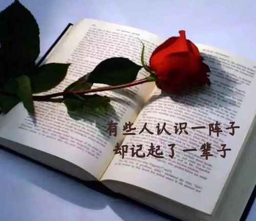 句子,能量,經(jīng)典,愛情