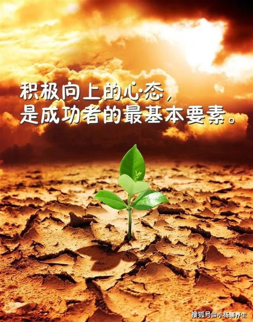 努力堅持正能量的句子經(jīng)典語句,工作努力正能量的句子經(jīng)典語句,正能量努力的句子經(jīng)典語句