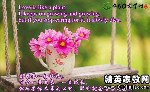 句子,能量,學習