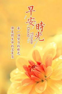 早安勵志心情正能量的句子說說心情短語
