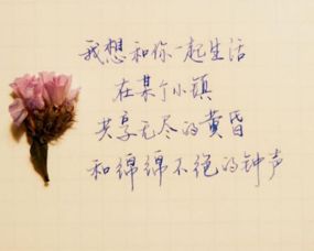 激勵(lì)孩子正能量的句子簡短,生活陽光正能量的句子簡短,用在孩子身上正能量句子簡短