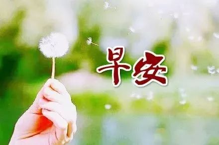 陽(yáng)光善良正能量的句子說(shuō)說(shuō)心情,陽(yáng)光微笑正能量的句子說(shuō)說(shuō)心情,陽(yáng)光快樂(lè)正能量句子說(shuō)說(shuō)心情