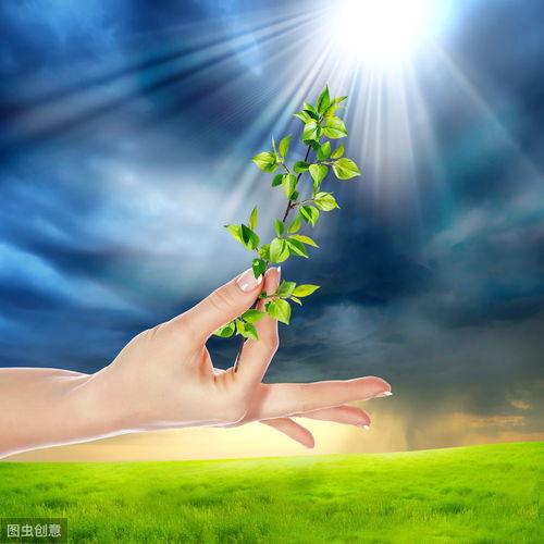 積極向上,句子,能量,陽光