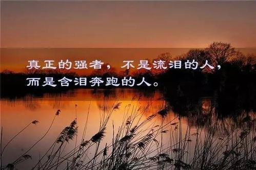 微商正能量激勵(lì)的句子,微商女人正能量的句子,微商正能量吸引句子