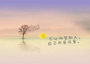 緣分正能量句子