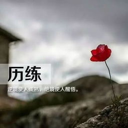 早安,簡短,句子,勵(lì)志