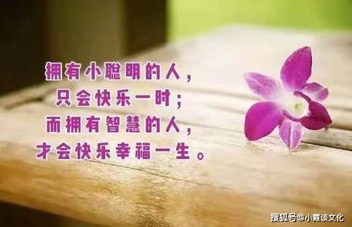 句子,朋友圈,能量,看書