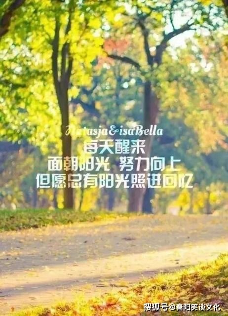 正能量自己努力沒(méi)有白費(fèi)的句子