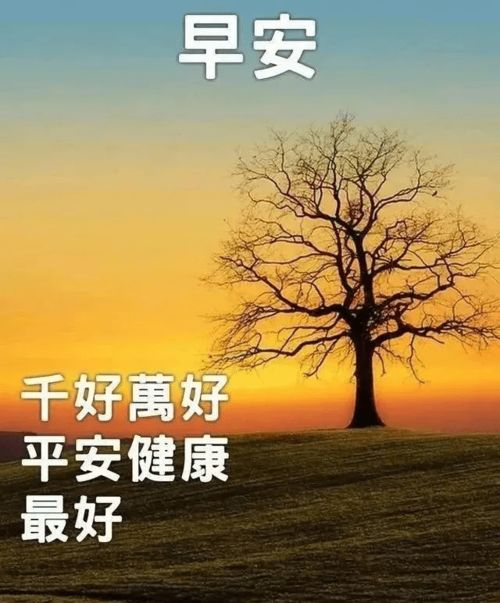 微信陽光正能量的句子,微信朋友圈正能量的句子,微信正能量勵志的句子