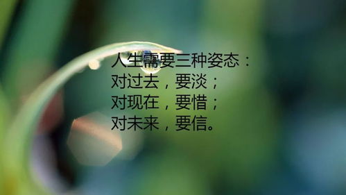 朋友圈個(gè)性正能量句子大全唯美大全