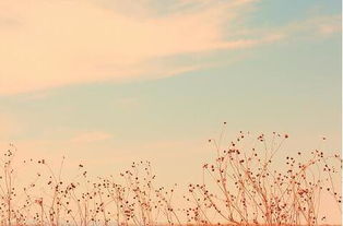 積極向上正能量的英文句子,正能量文言文句子及翻譯,正能量的英文句子經(jīng)典語句