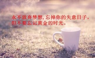 工作正能量說說心情的句子