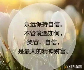 句子,能量,提升,學(xué)生