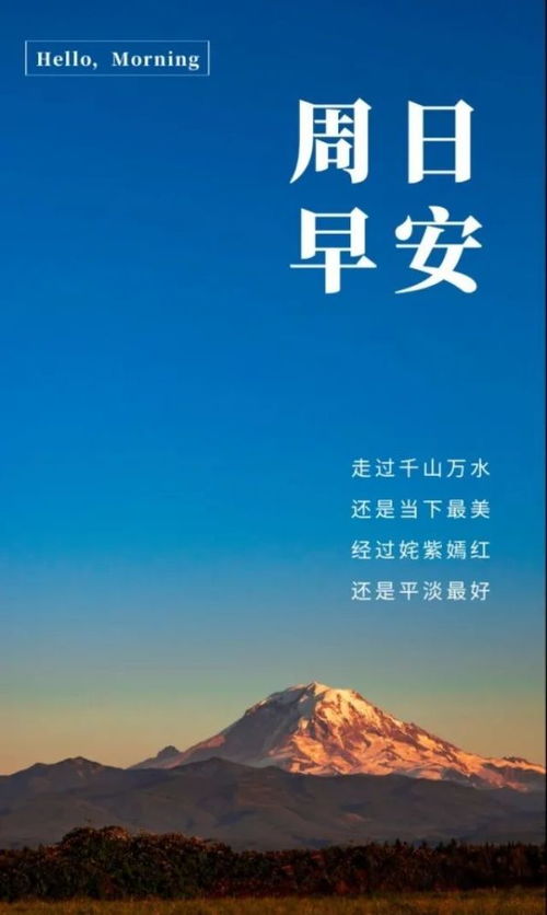 關于堅持的正能量句子,懂得感恩的正能量句子,新的開始新的起點正能量句子