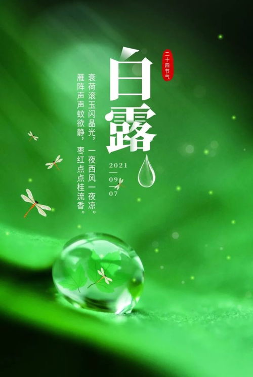 句子,能量,陽光