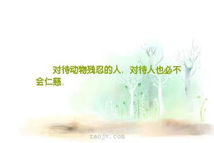 面對災難的正能量勵志句子,面對災難的正能量勵志句子英語,面對壓力正能量的句子