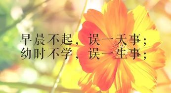 正能量情感夫妻勵(lì)志句子說說心情