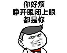 風趣,句子,能量,上班