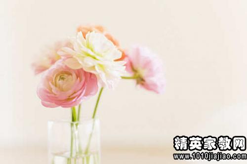 形容積極向上正能量的句子,形容團隊精神正能量的句子,形容晚安正能量的句子