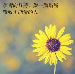 句子,語句,能量,加油