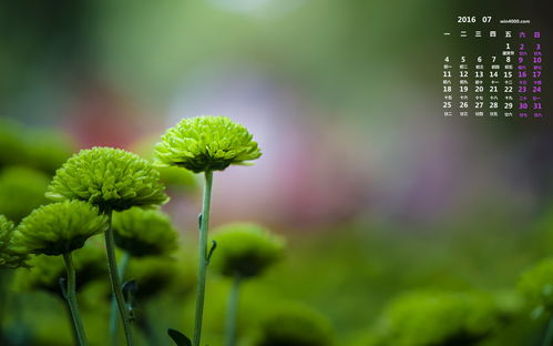 關于學校安全的正能量的句子