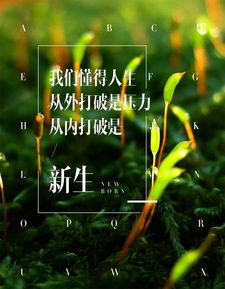 青春正能量簡潔句子