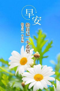 正能量早上問好句子經(jīng)典語,早上問好的正能量句子,早上問好句子祝福正能量