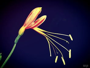 夫妻關(guān)系中的正能量句子