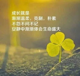 早安,句子,語(yǔ)句,能量