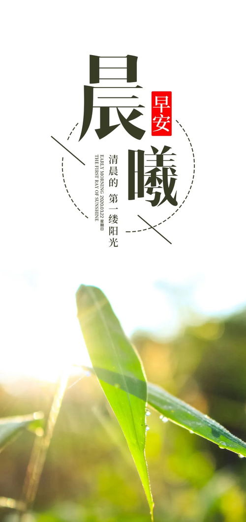 早安幽默帶有正能量的句子說說,早安開心幽默正能量的句子,早安幽默正能量的句子說說心情