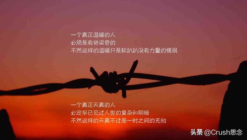 句子,能量,團(tuán)隊(duì),快樂(lè)