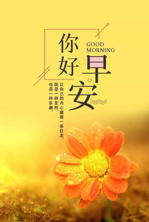 志愿者正能量的句子經典語句,追星正能量的句子經典語句,警察正能量的句子經典語句