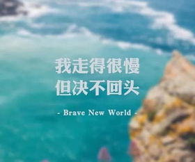 英文,句子,能量,運(yùn)動(dòng)