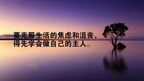 又有,句子,能量