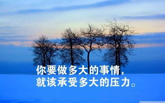 傾盆大雨,句子,能量