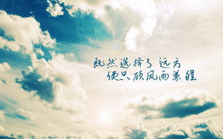 句子,勵(lì)志,能量,人生