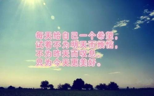 句子,勵志,能量,愛情