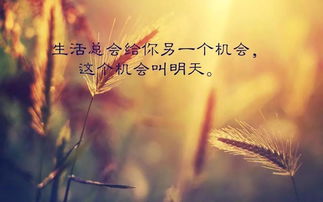 正能量人生感悟內(nèi)涵句子,佛說(shuō)正能量人生感悟的句子,正能量人生感悟的句子50字