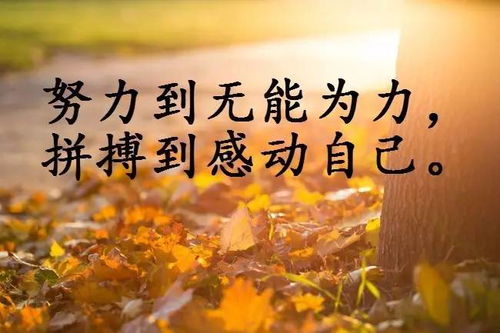 關(guān)于銷售早安正能量的句子,銷售早安勵(lì)志正能量的句子,早安心語(yǔ)銷售正能量句子