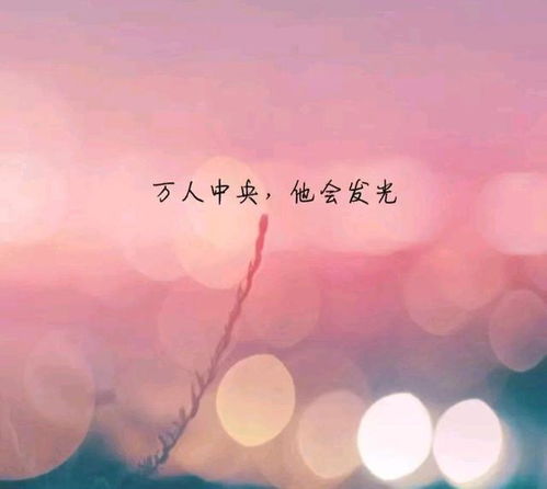 句子,能量,干凈,氣質