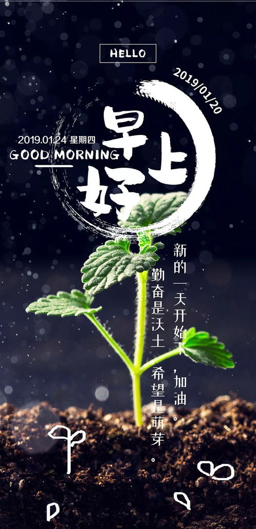 早晨句子正能量風景
