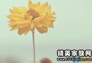 正能量的句子摘抄,愛(ài)國(guó)正能量句子摘抄,正能量長(zhǎng)句子摘抄