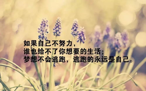 正能量哄男朋友開心的句子