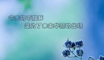 句子,能量,投資