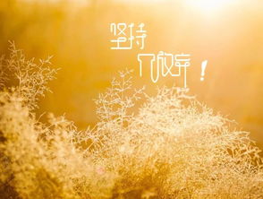 溫暖陽光正能量的句子