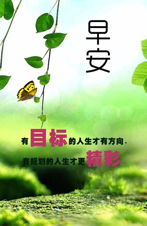 學(xué)生早安勵(lì)志正能量的句子