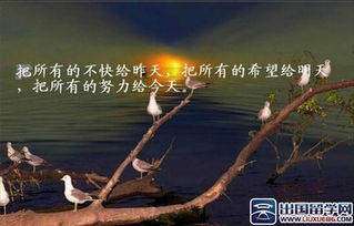 傳遞青春正能量的句子經(jīng)典語句